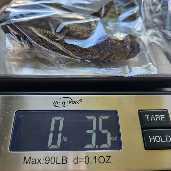 Grunge Baddie Edgy Collezione New York Handbag Small Metallic Cording Magnetic - Picture 12 of 12